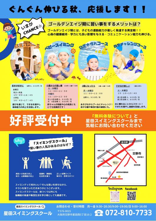 スイミングチラシ裏
